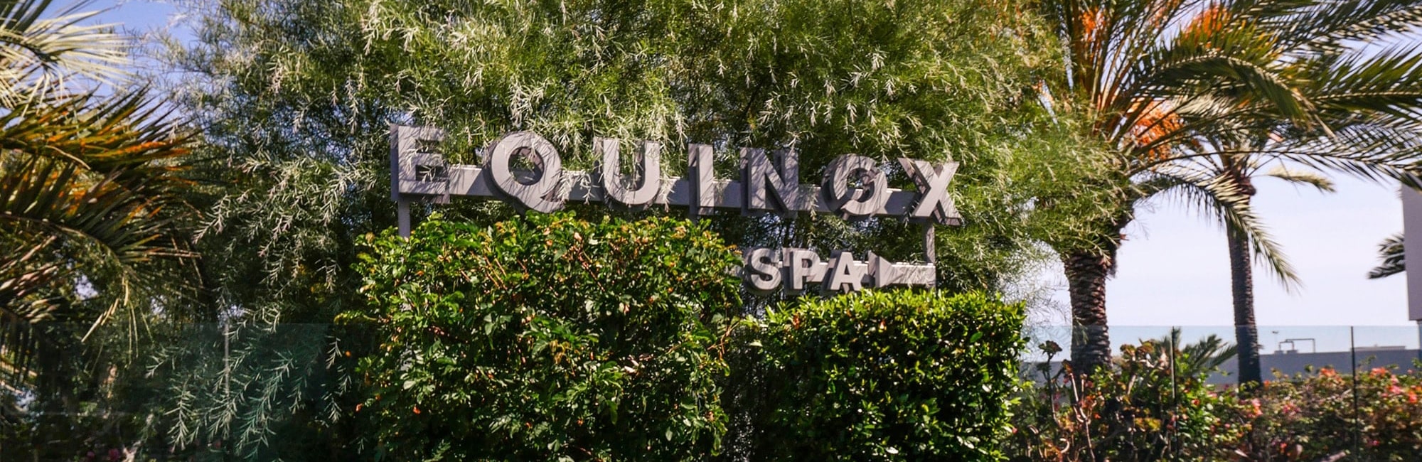 Equinox Spa Sign in Tree